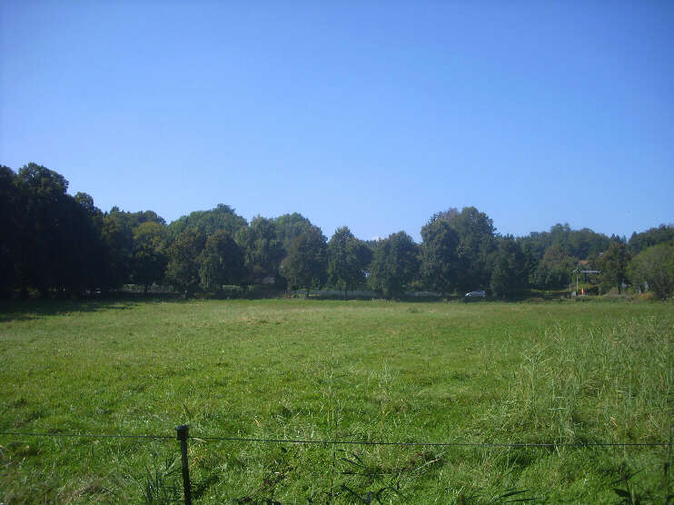 Blick vom Hans-Albers-Weg zur Franz-Eisele-Allee und zur Garatshausener Hauptstrae (September 2016)