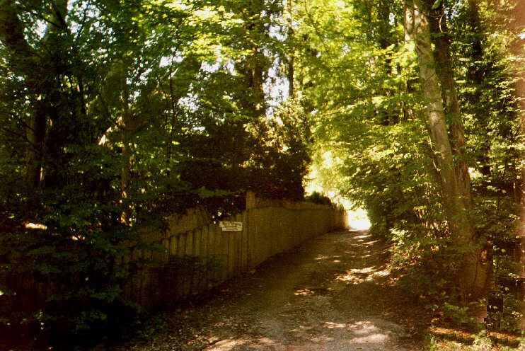 Seeuferweg bei Garatshausen (Juli 2003)